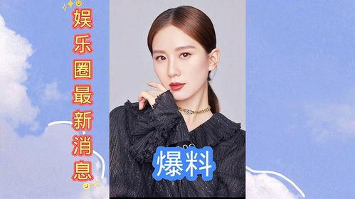 娱乐圈最新爆料2019,年度爆料大盘点